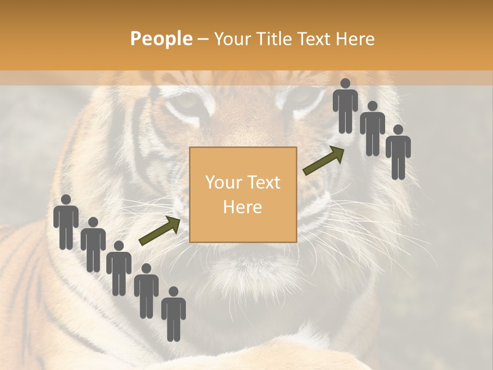 Jungle Wildcat Orange PowerPoint Template