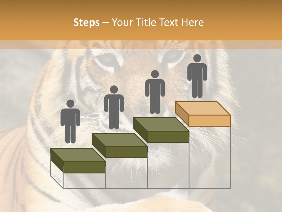 Jungle Wildcat Orange PowerPoint Template