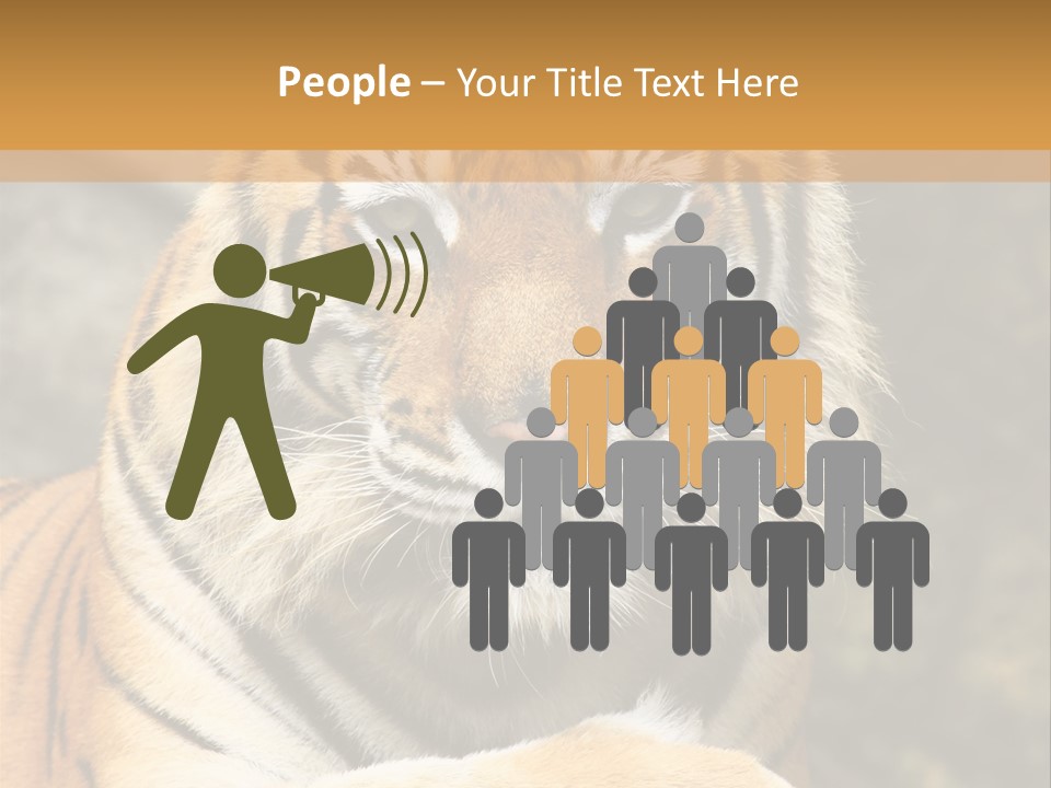 Jungle Wildcat Orange PowerPoint Template