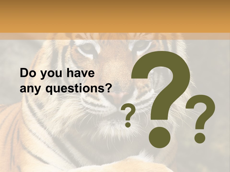 Jungle Wildcat Orange PowerPoint Template