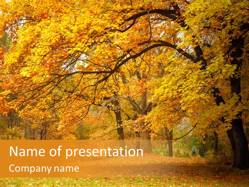 Outside Yellow Background PowerPoint Template