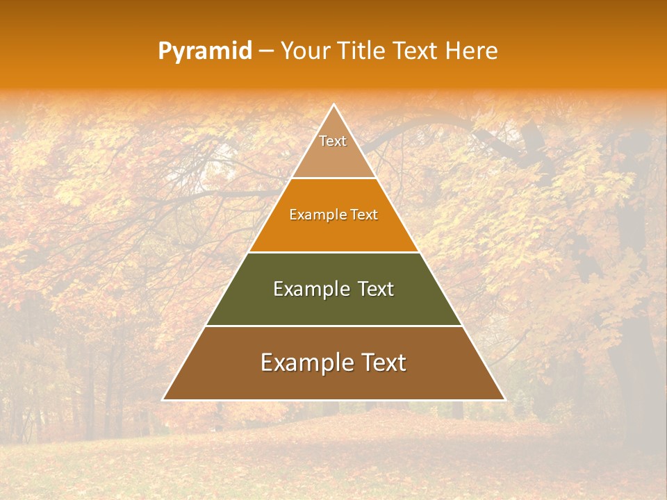 Outside Yellow Background PowerPoint Template