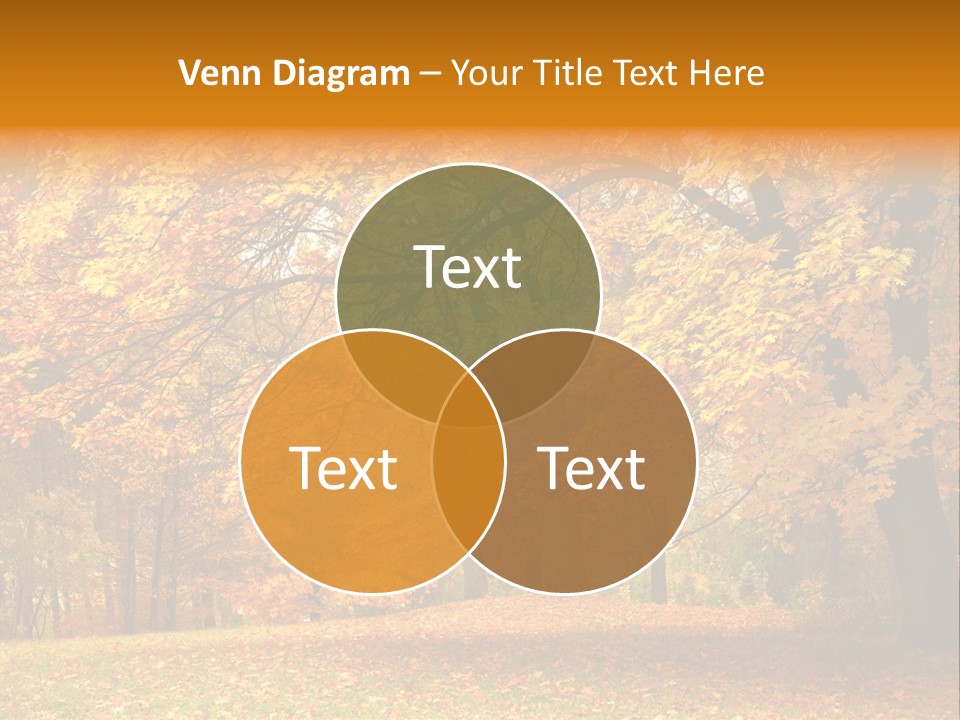 Outside Yellow Background PowerPoint Template