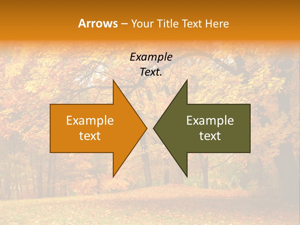 Outside Yellow Background PowerPoint Template