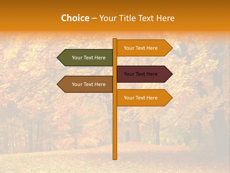 Outside Yellow Background PowerPoint Template