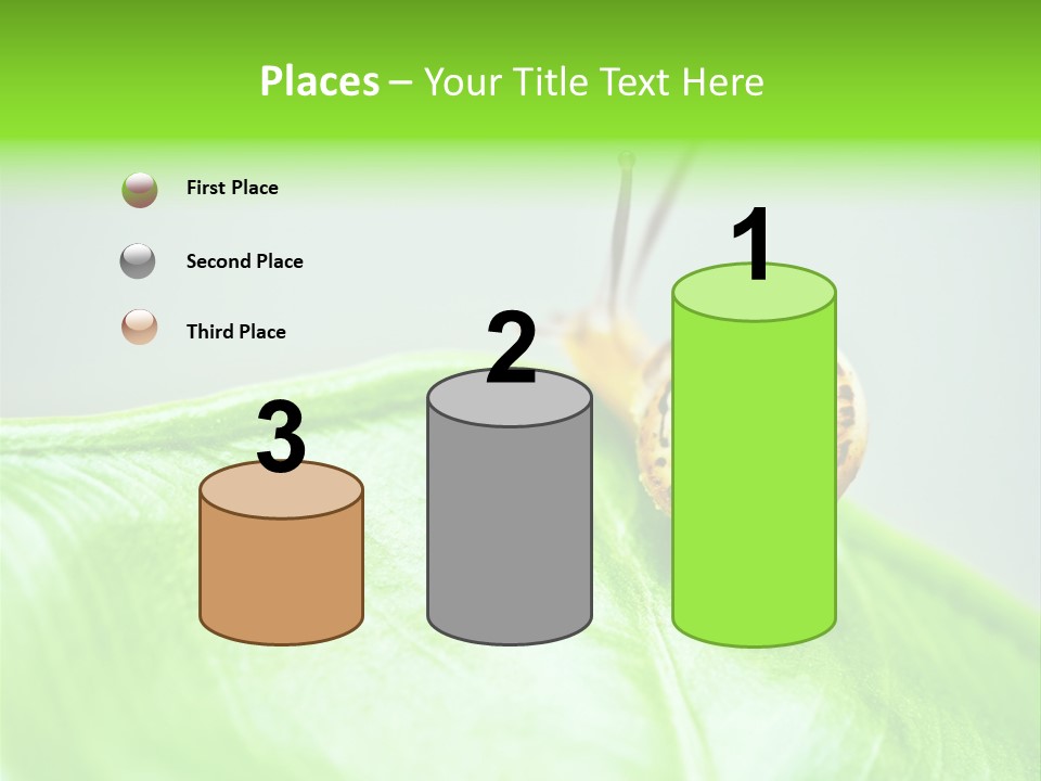 Plant Wet Alone PowerPoint Template