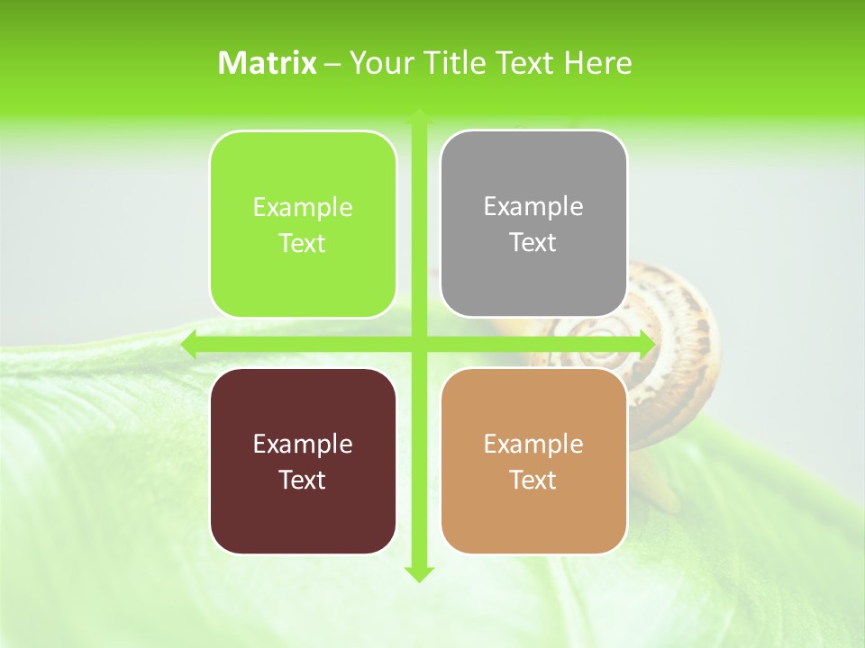 Plant Wet Alone PowerPoint Template