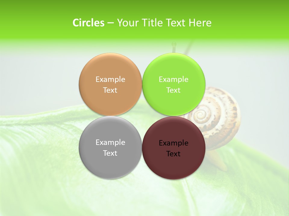 Plant Wet Alone PowerPoint Template