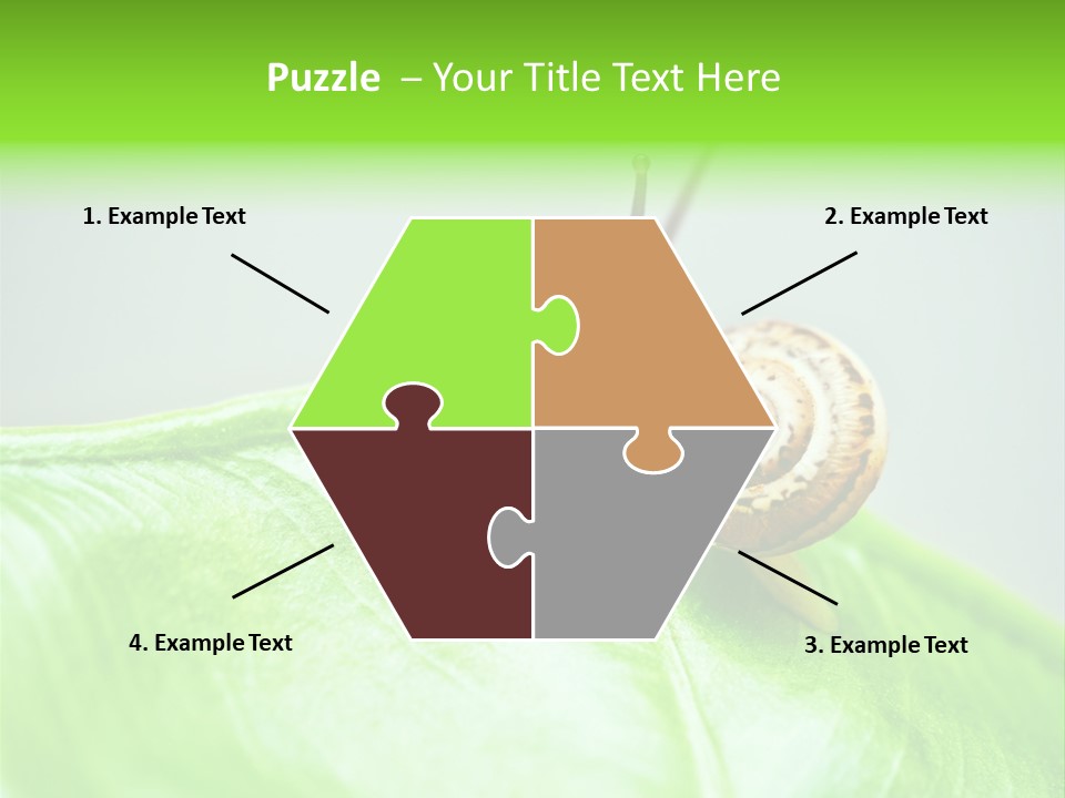 Plant Wet Alone PowerPoint Template