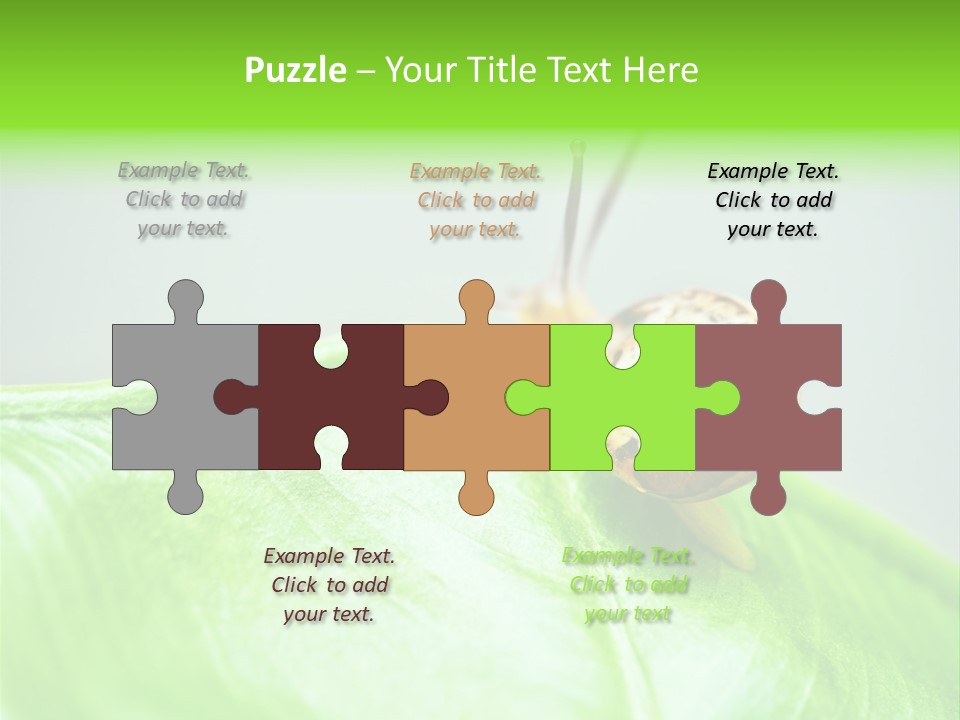 Plant Wet Alone PowerPoint Template