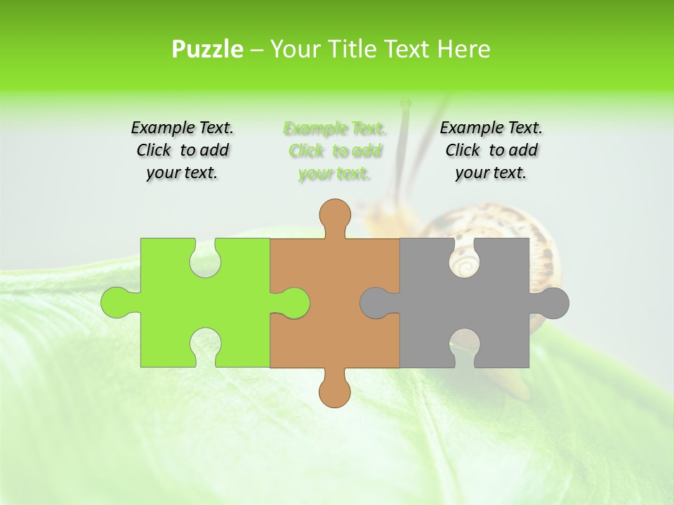 Plant Wet Alone PowerPoint Template