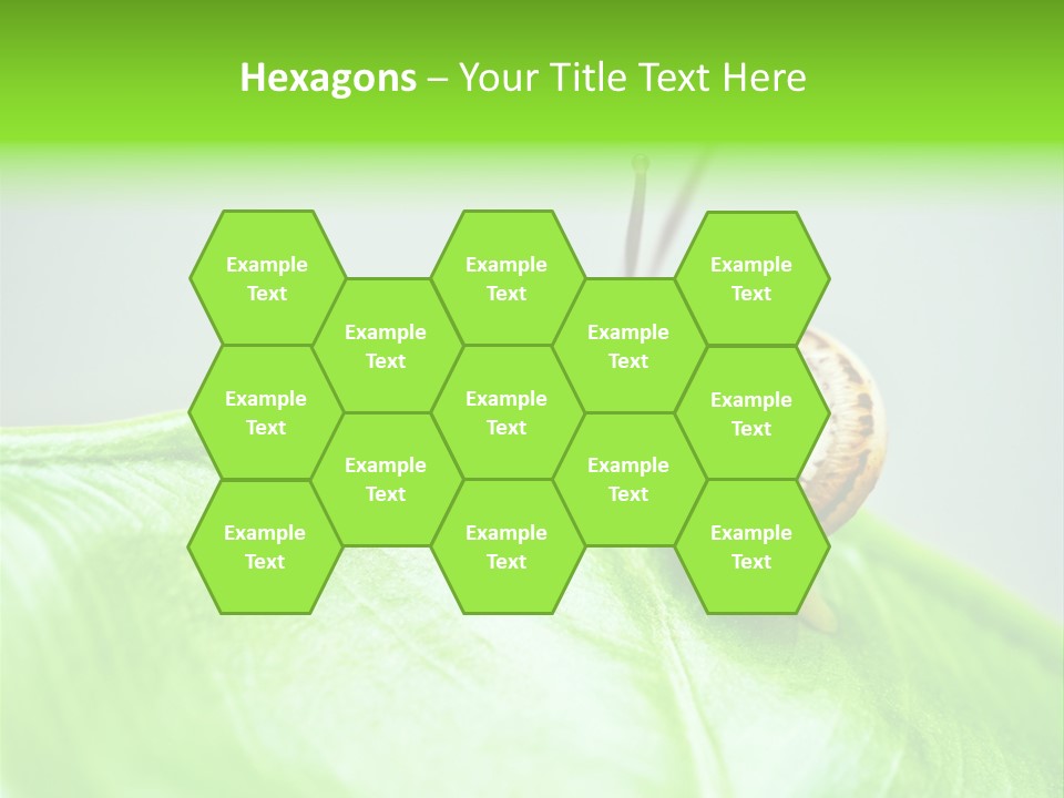 Plant Wet Alone PowerPoint Template