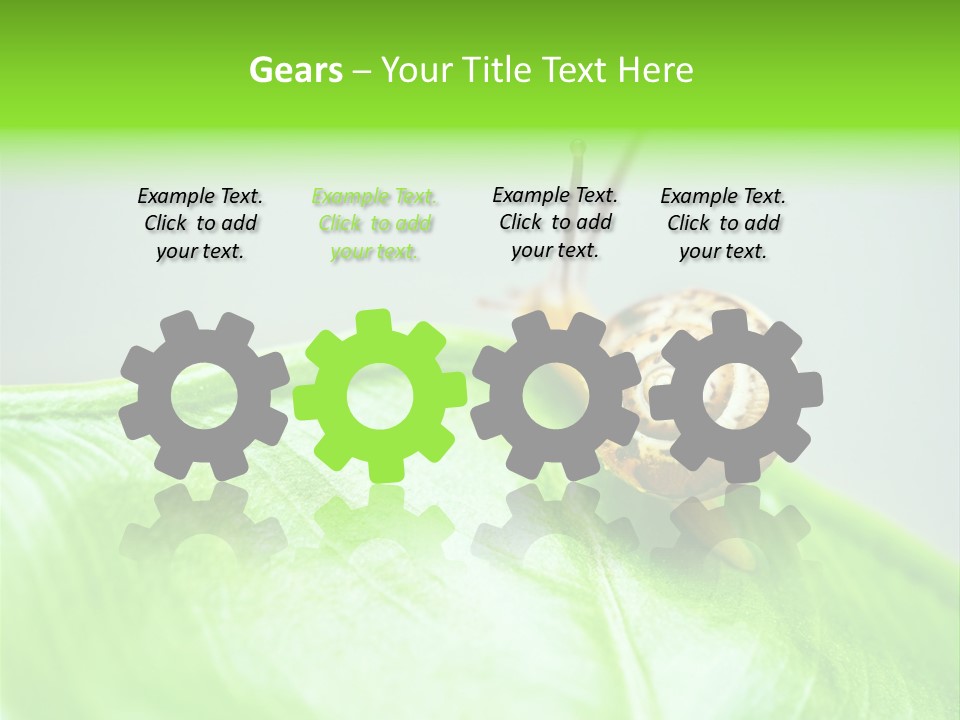 Plant Wet Alone PowerPoint Template