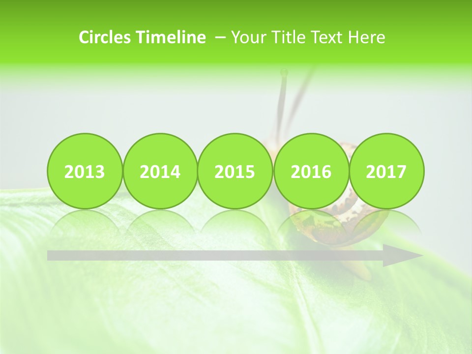 Plant Wet Alone PowerPoint Template