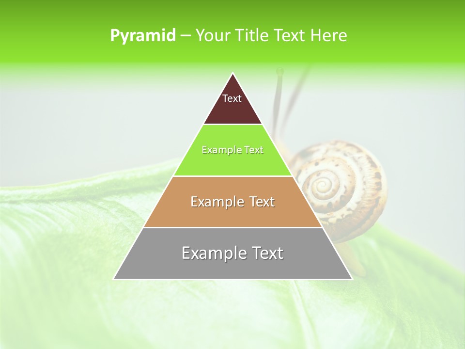 Plant Wet Alone PowerPoint Template