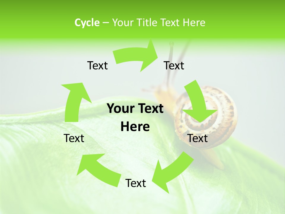 Plant Wet Alone PowerPoint Template