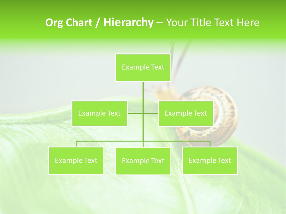 Plant Wet Alone PowerPoint Template