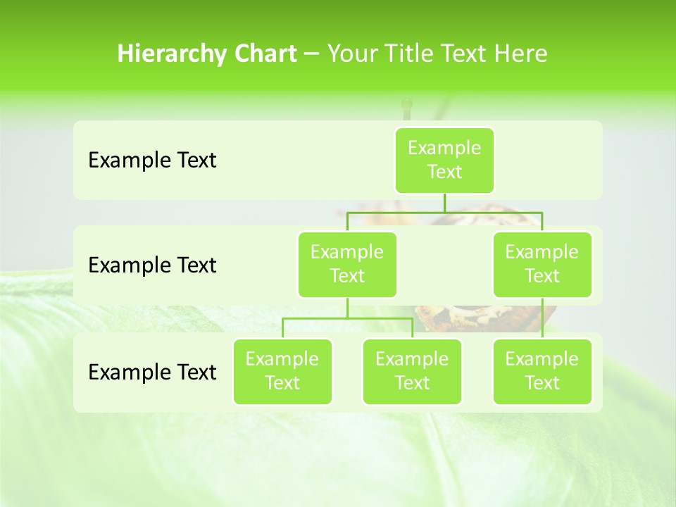 Plant Wet Alone PowerPoint Template