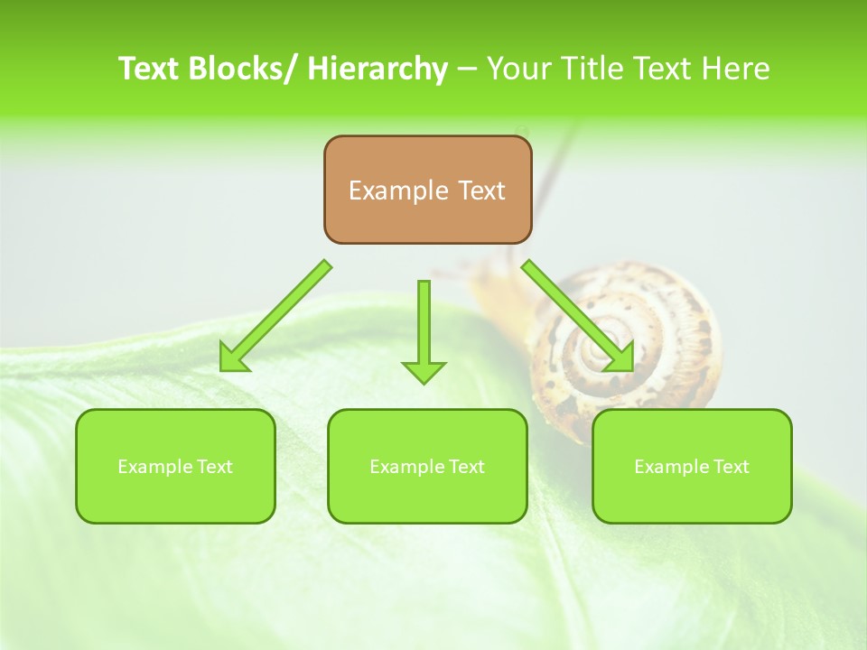 Plant Wet Alone PowerPoint Template