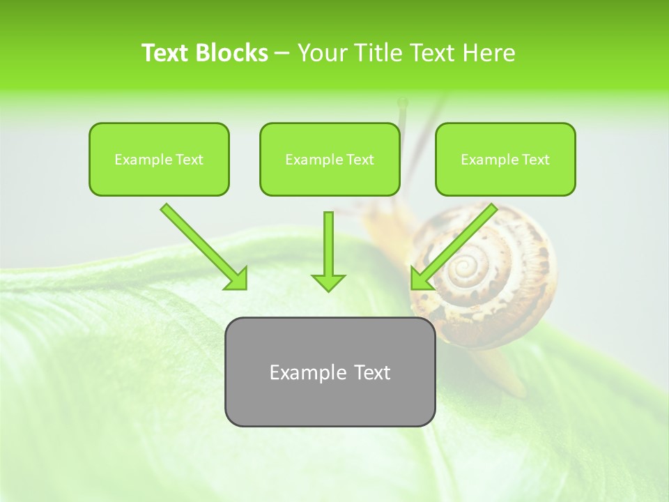 Plant Wet Alone PowerPoint Template