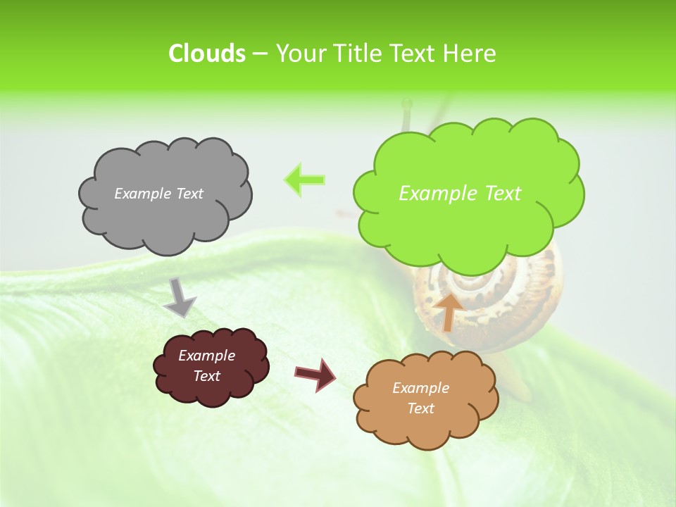 Plant Wet Alone PowerPoint Template