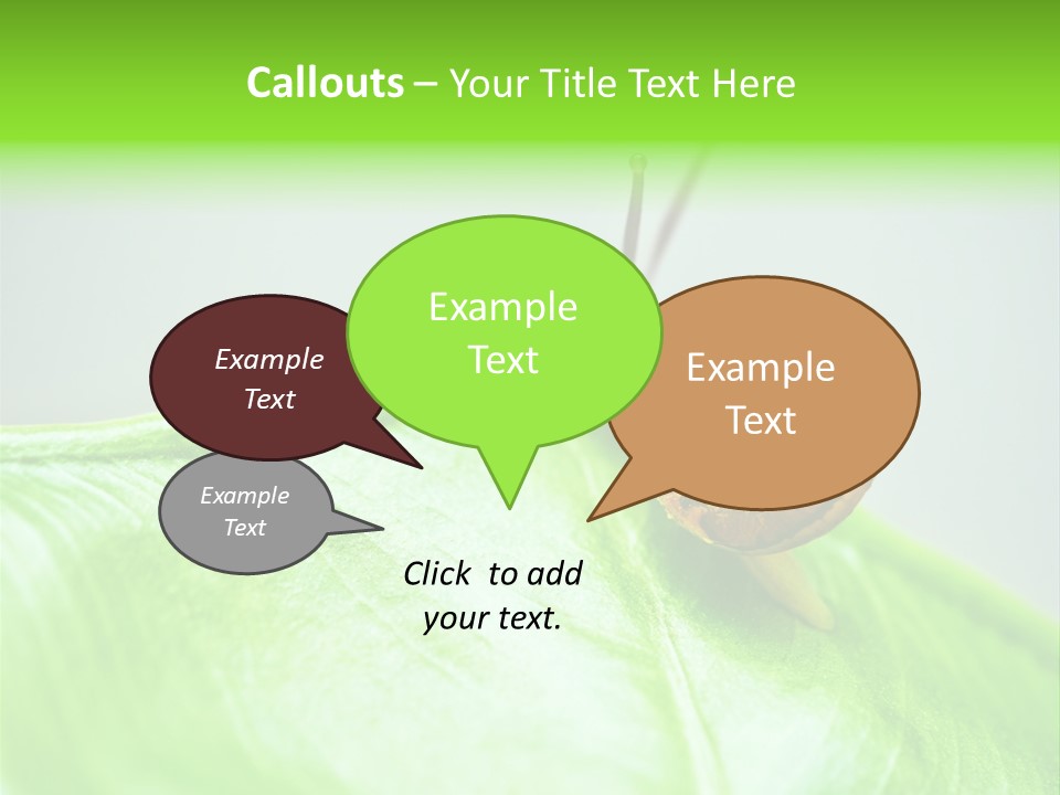 Plant Wet Alone PowerPoint Template