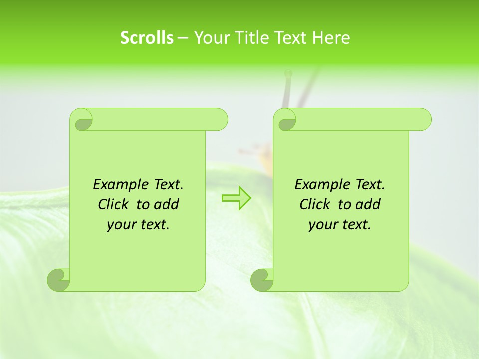 Plant Wet Alone PowerPoint Template