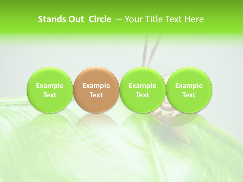 Plant Wet Alone PowerPoint Template