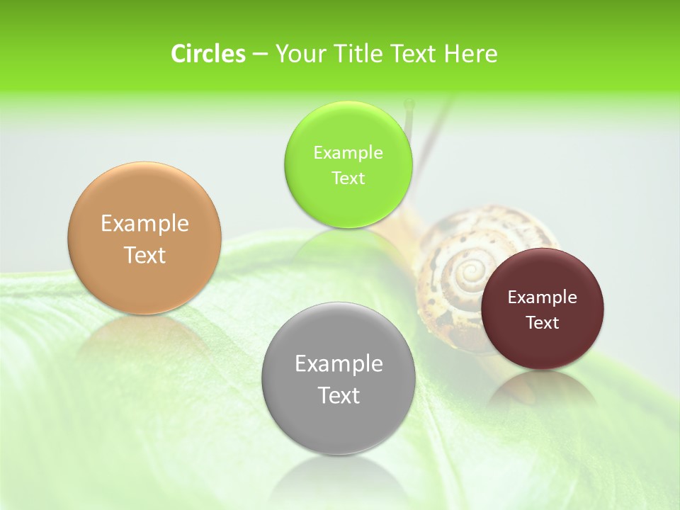 Plant Wet Alone PowerPoint Template