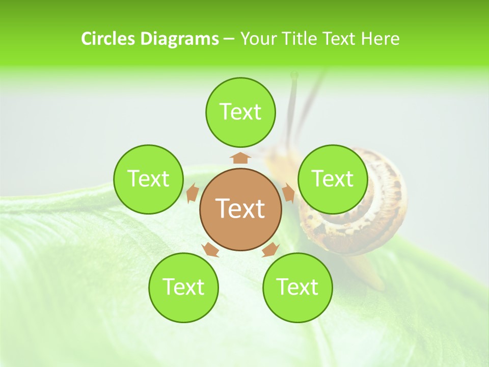 Plant Wet Alone PowerPoint Template