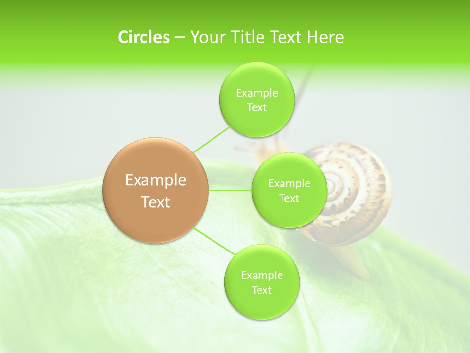 Plant Wet Alone PowerPoint Template