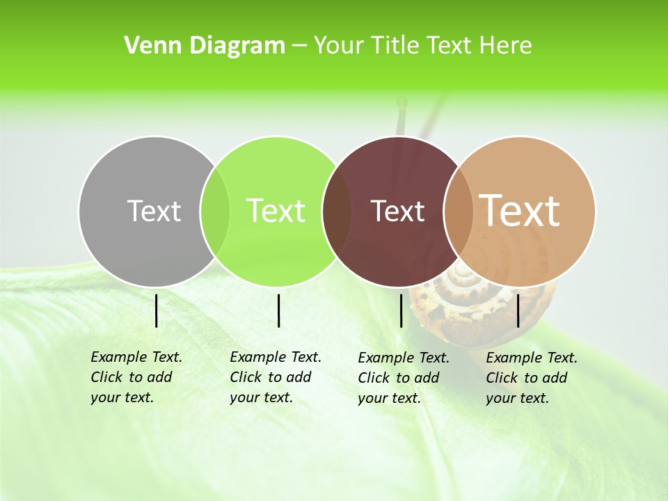 Plant Wet Alone PowerPoint Template
