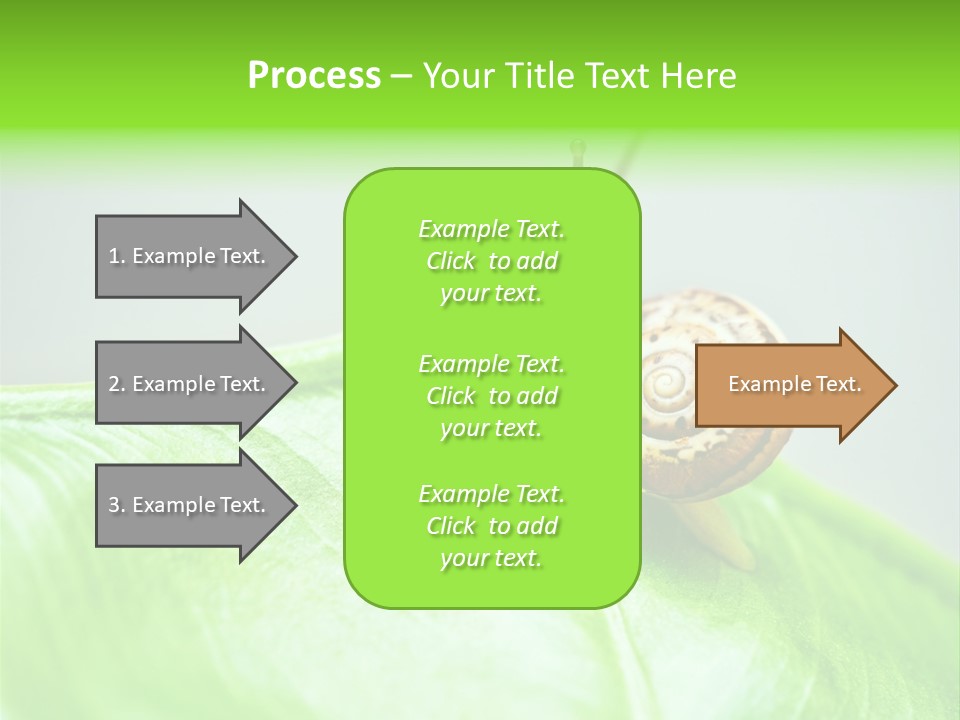 Plant Wet Alone PowerPoint Template
