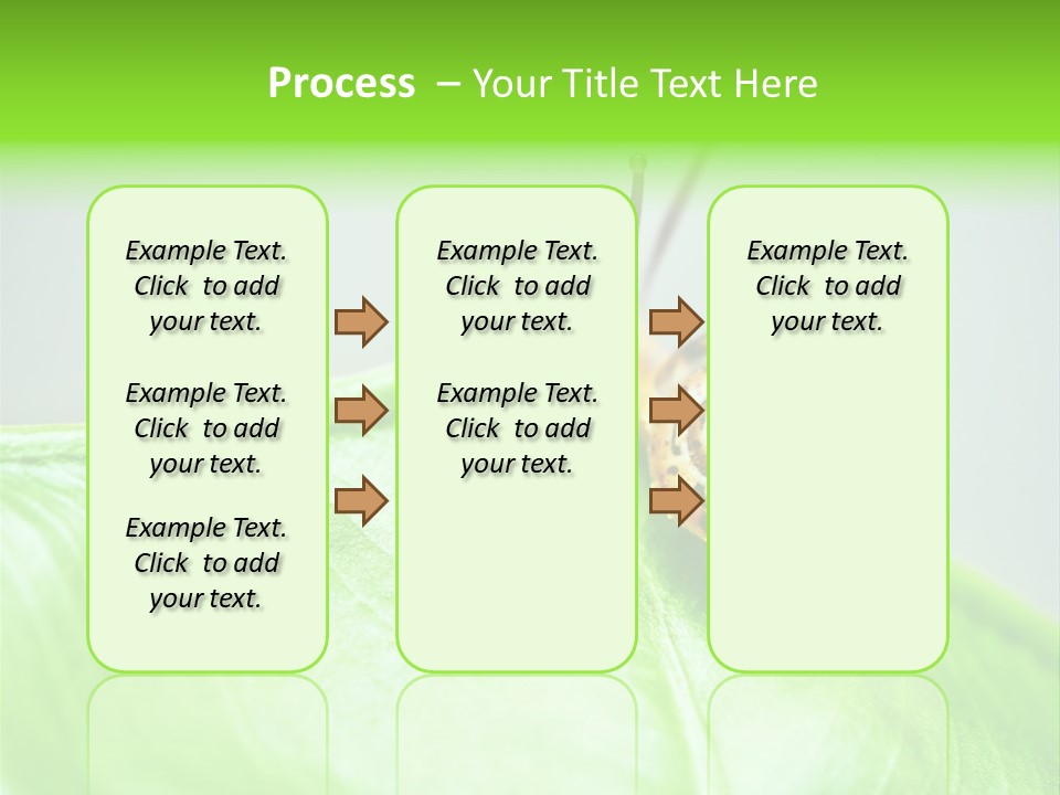 Plant Wet Alone PowerPoint Template