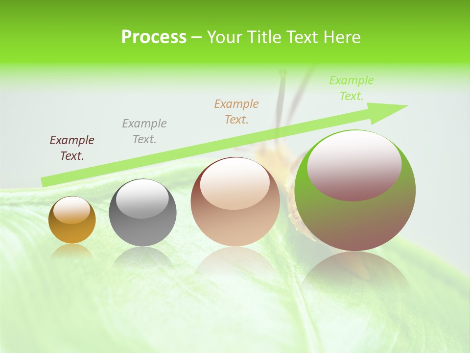 Plant Wet Alone PowerPoint Template