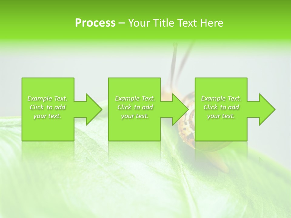 Plant Wet Alone PowerPoint Template