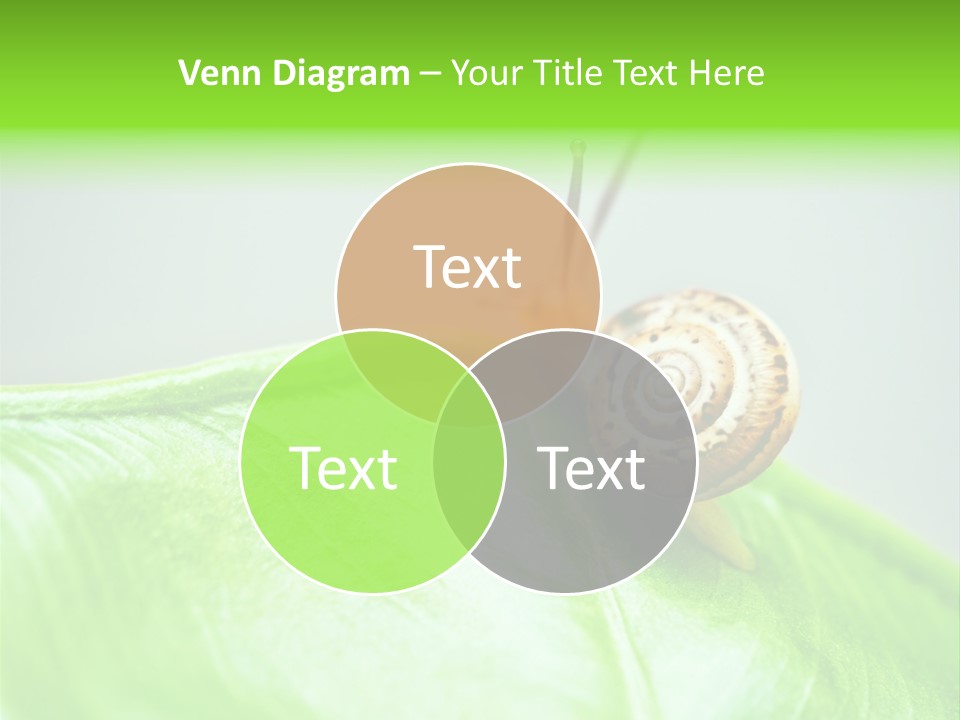 Plant Wet Alone PowerPoint Template