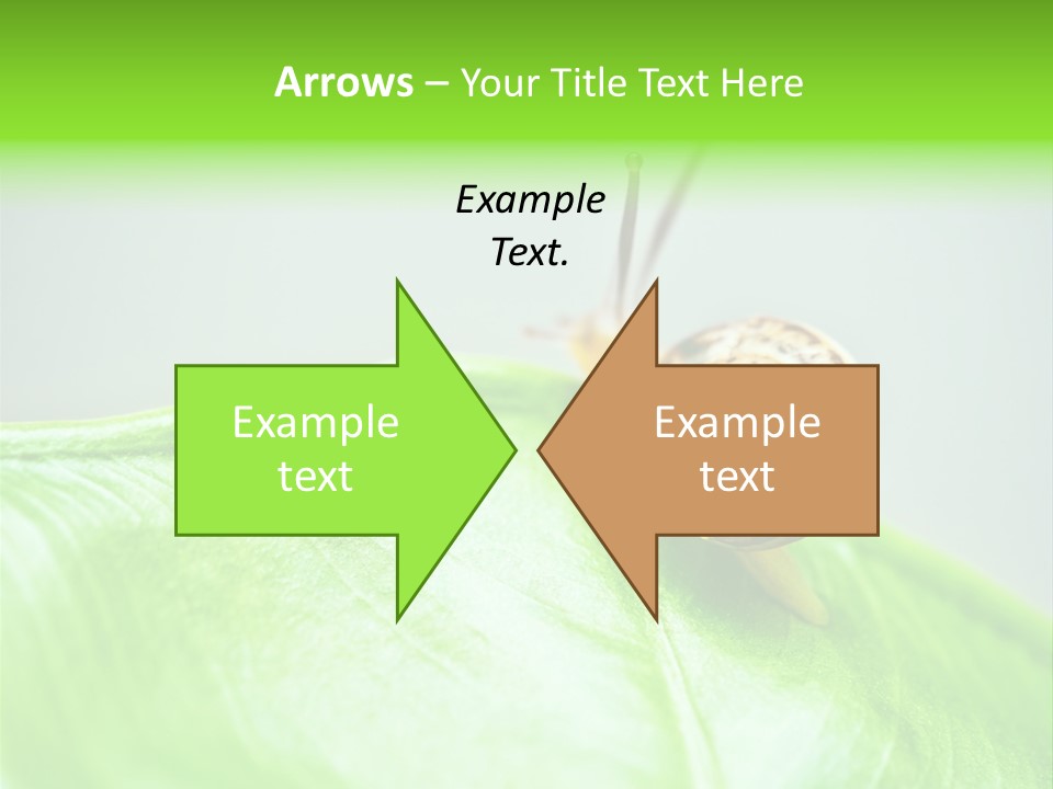 Plant Wet Alone PowerPoint Template