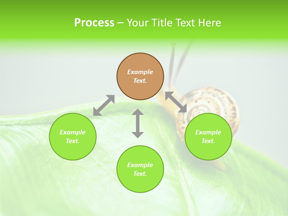 Plant Wet Alone PowerPoint Template