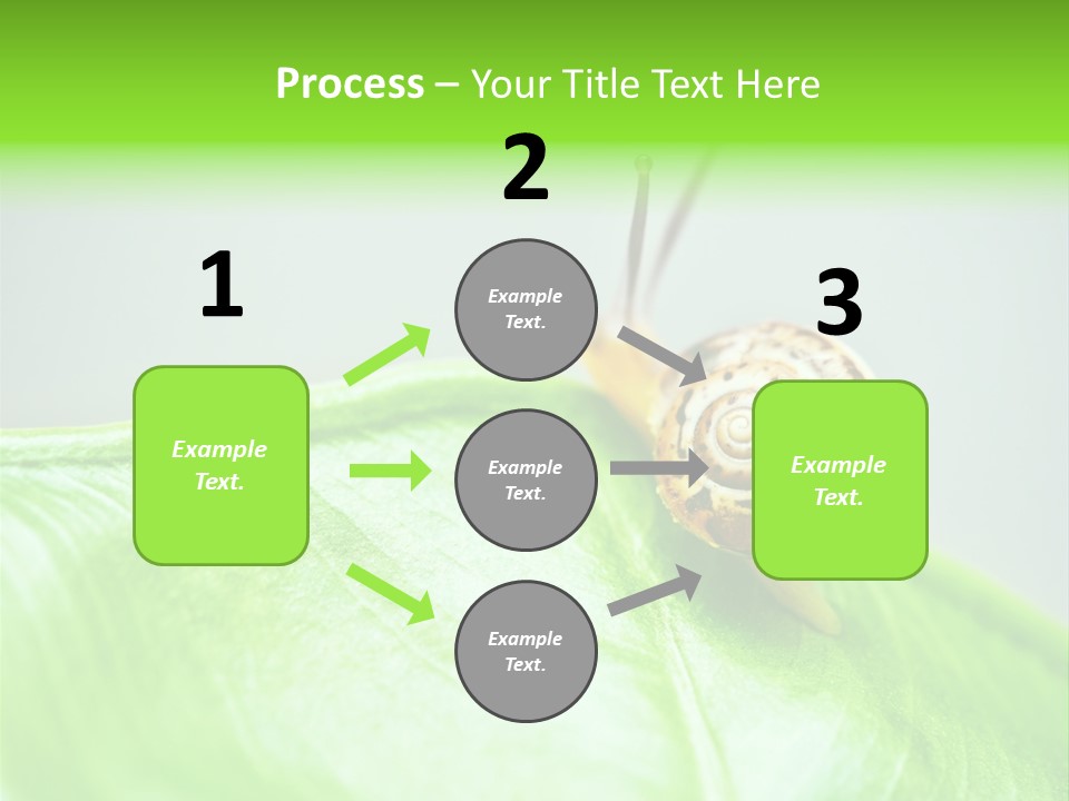 Plant Wet Alone PowerPoint Template