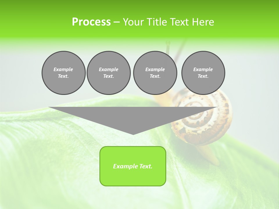 Plant Wet Alone PowerPoint Template