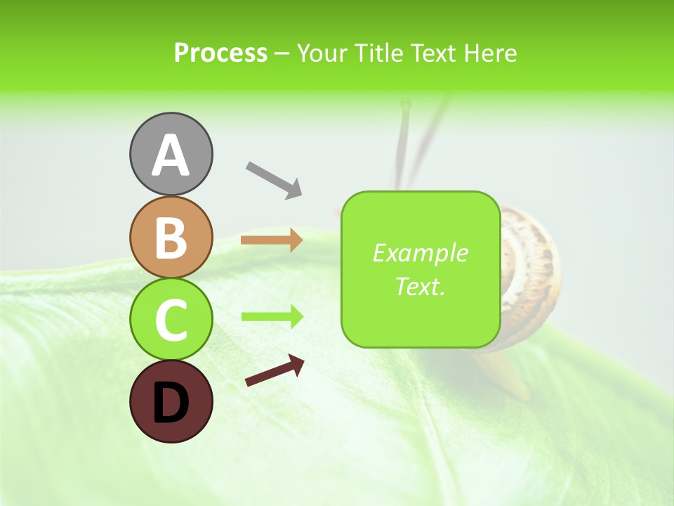 Plant Wet Alone PowerPoint Template