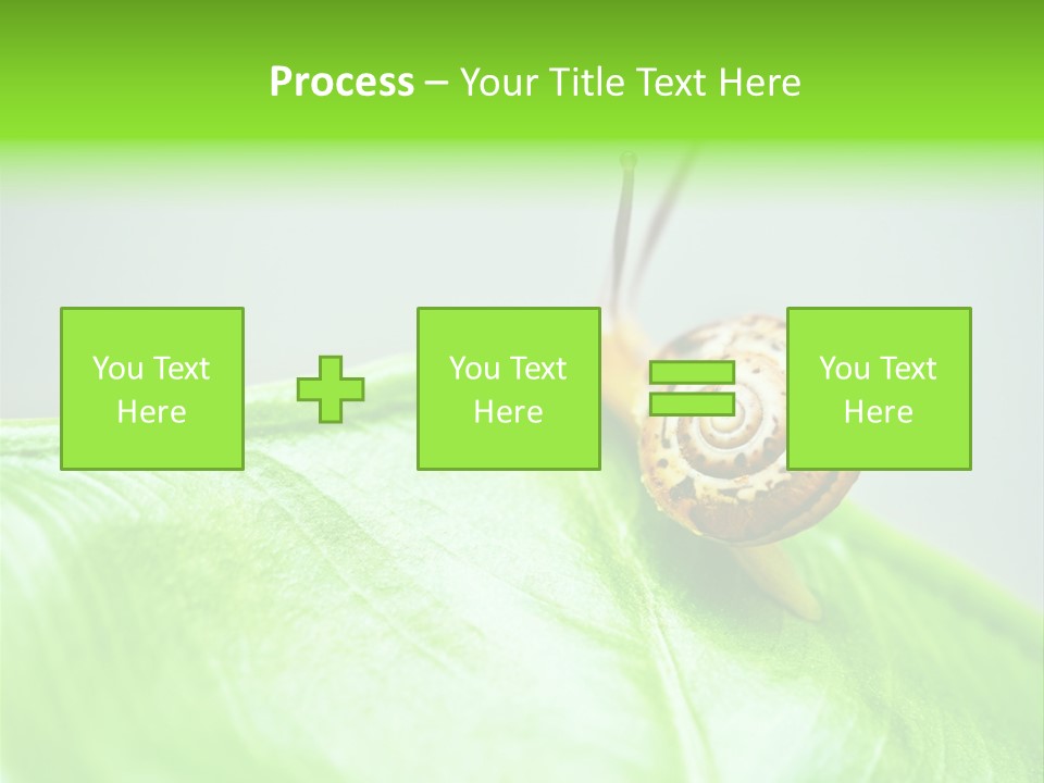 Plant Wet Alone PowerPoint Template
