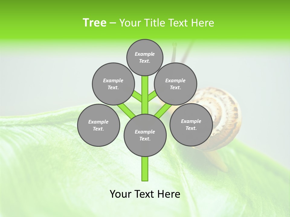 Plant Wet Alone PowerPoint Template