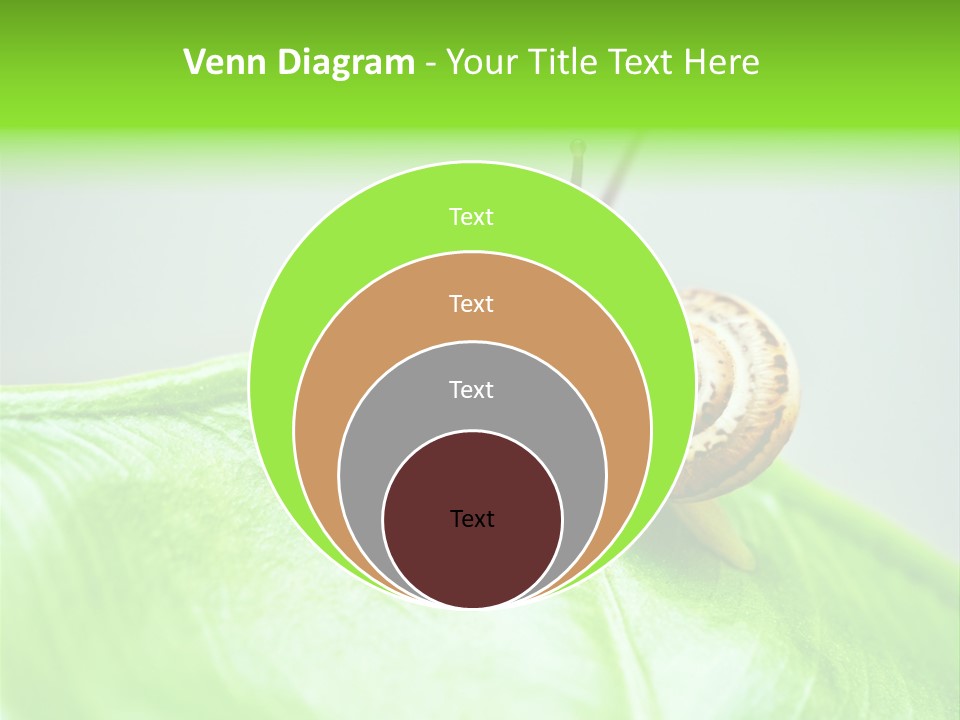 Plant Wet Alone PowerPoint Template