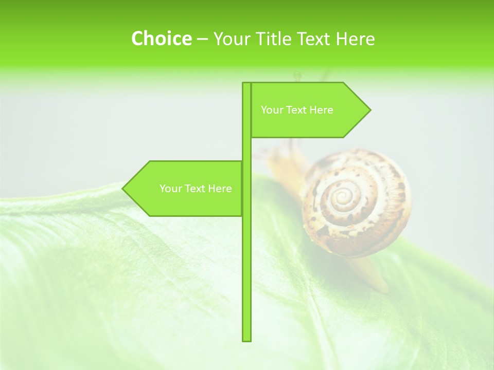 Plant Wet Alone PowerPoint Template