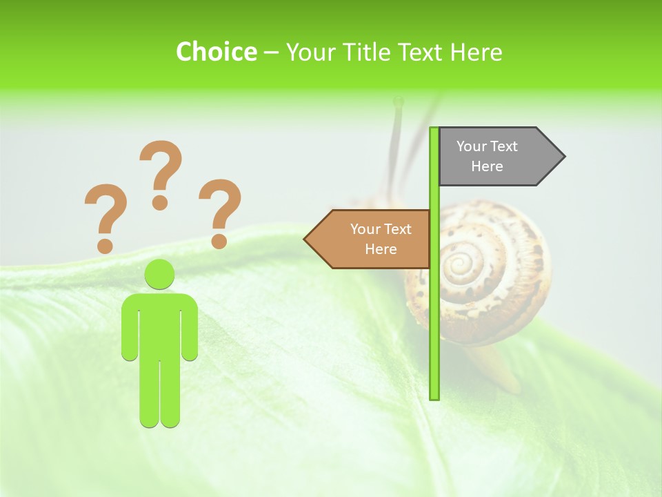 Plant Wet Alone PowerPoint Template