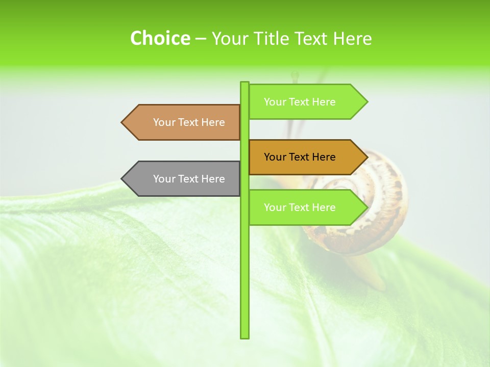 Plant Wet Alone PowerPoint Template