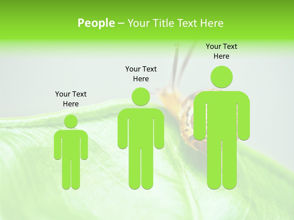 Plant Wet Alone PowerPoint Template