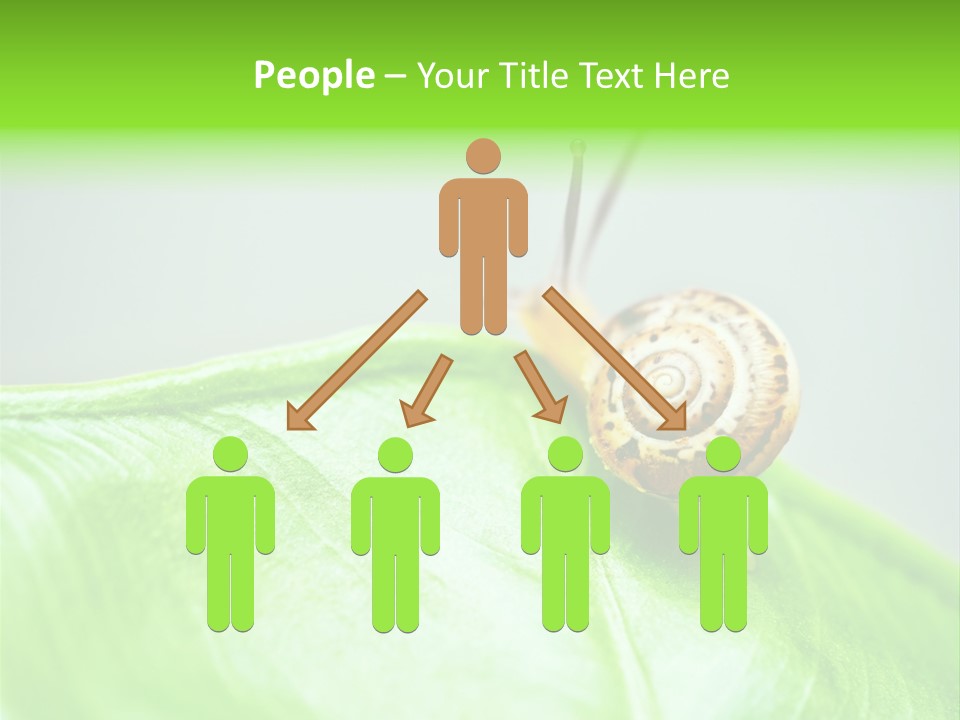 Plant Wet Alone PowerPoint Template